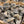 Load image into Gallery viewer, NC Select Single Oysters
