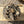 Load image into Gallery viewer, NC Select Single Oysters