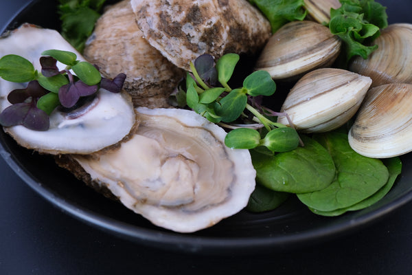 Shellfish- Oysters, Clams, Mussels & Scallops
