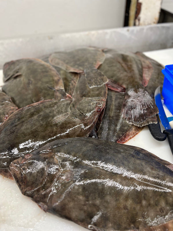 Whole Fresh Flounder- Head Off