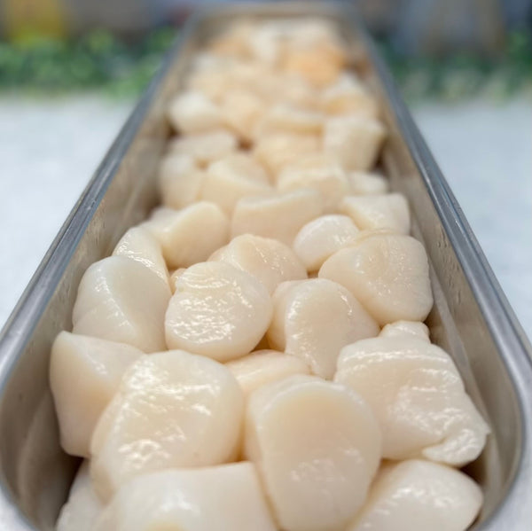 Fresh 10/20 Sea Scallops