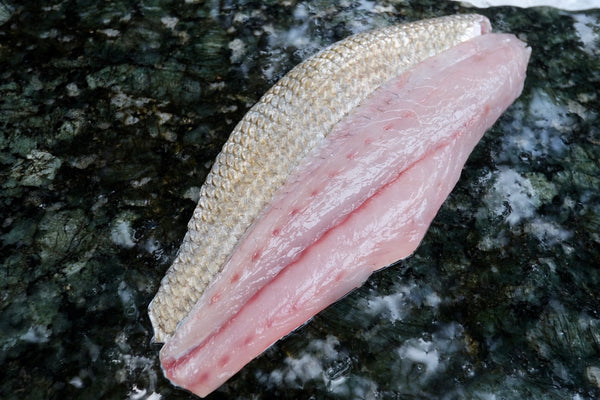 Fresh Red Drum Filet