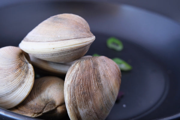 Stump Sound Little Neck Clams